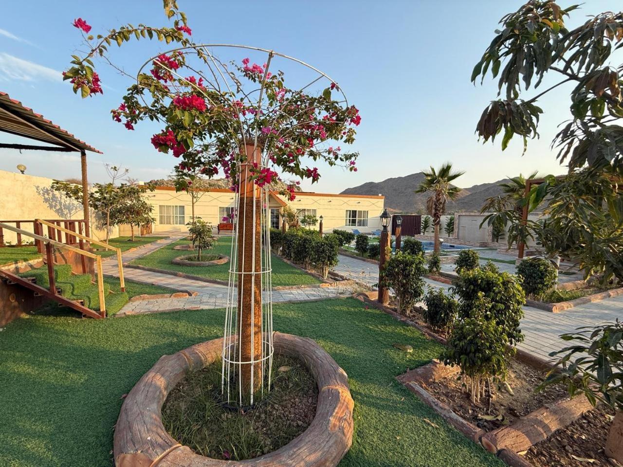 800 Mountain Resort Vacation House Fujairah Bagian luar foto